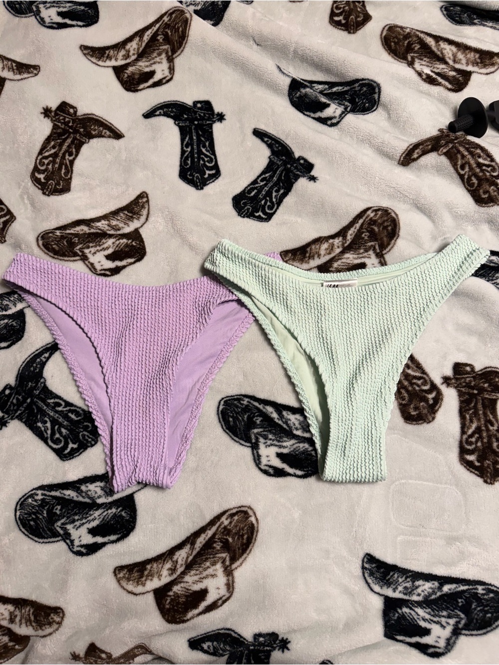 Bikini Bottoms — Lavender and Mint